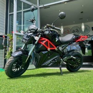 2024 Tao Gemini - 72V30AH LI - SALE