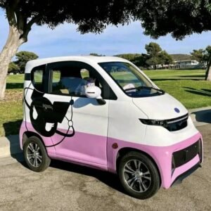 Enclosed Mobility Scooter