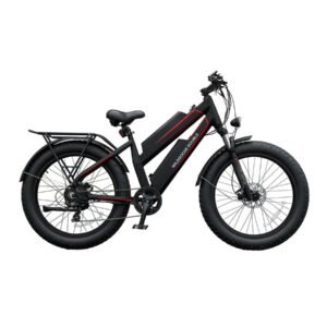 Daymak - Wild Goose Double - E-Bike